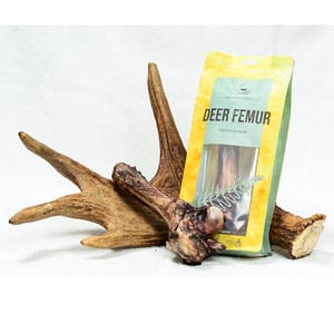 dear dear deer 狗零食 耐咬潔齒系列 鹿大腿骨 中大型犬用 犬用 側面圖