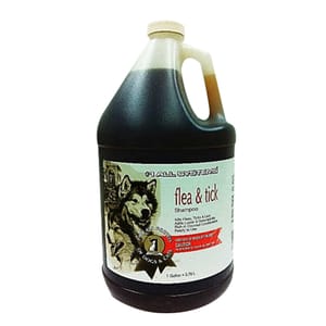 頂尖 頂尖 洗毛液 職業用除虱配方 1gal 1g 正面圖