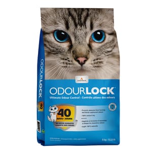 Intersand Intersand Odour Lock 礦物貓砂 無塵貓砂 無香味 12kg 12kg 正面圖