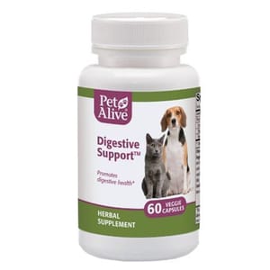 PetAlive PetAlive Digestive Support™ 維持消化系統正常 60粒 60粒 正面圖