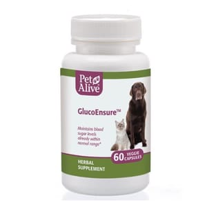 PetAlive PetAlive GlucoEnsure™ 針對糖尿病 60粒 60粒 正面圖