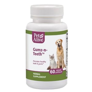 PetAlive PetAlive Gumz-n-Teeth™ 促進牙齒及口腔健康 60粒 60粒  正面圖