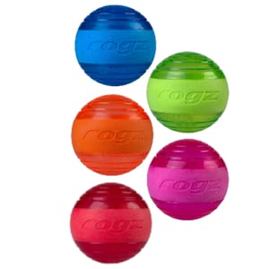 ROGZ ROGZ SQUEEKZ 狗玩具球   正面圖