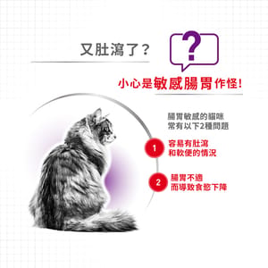 Royal Canin Royal Canin 貓糧 法國皇家貓糧 腸胃敏感配方 S33 4kg 4kg 背面圖