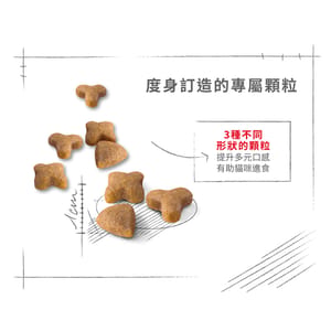Royal Canin Royal Canin 貓糧 法國皇家貓糧 腸胃敏感配方 S33 4kg 4kg 特寫圖