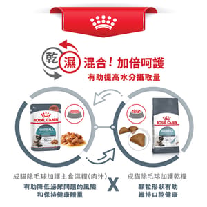 Royal Canin Royal Canin 貓糧 法國皇家貓糧 加護系列 成貓去毛球配方 ITH34 10kg 10kg 特寫圖