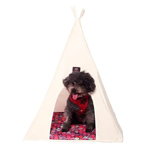 Pet Pet Tepee 小 正面圖