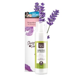 Divine Divine Pets 免沖洗潔毛泡沫 200ml 200ml  正面圖