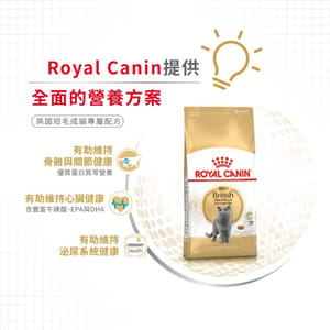 Royal Canin Royal Canin 貓糧 法國皇家貓糧 純種系列 英國短毛成貓專屬配方 BSH 2kg 2kg  背面圖