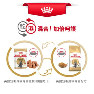 Royal Canin Royal Canin 貓糧 法國皇家貓糧 純種系列 英國短毛成貓專屬配方 BSH 2kg 2kg  特寫圖