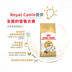 Royal Canin Royal Canin 貓糧 法國皇家貓糧 純種系列 布偶成貓專屬配方 RD 2kg 2kg  背面圖