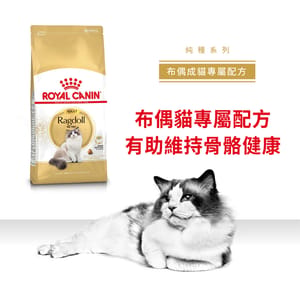 Royal Canin Royal Canin 貓糧 法國皇家貓糧 純種系列 布偶成貓專屬配方 RD 2kg 2kg  特寫圖