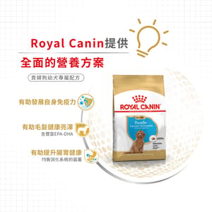 Royal Canin Royal Canin 狗糧 法國皇家狗糧 純種系列 貴婦狗幼犬專屬配方 貴婦幼犬糧 PDJ 3kg 3kg  側面圖