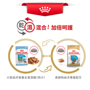 Royal Canin Royal Canin 狗糧 法國皇家狗糧 純種系列 貴婦狗幼犬專屬配方 貴婦幼犬糧 PDJ 3kg 3kg  包裝圖