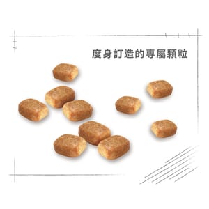 Royal Canin Royal Canin 狗糧 法國皇家狗糧 純種系列 芝娃娃成犬專屬配方 芝娃娃成犬糧 CHH28 3kg 3kg  特寫圖