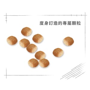 Royal Canin Royal Canin 狗糧 法國皇家狗糧 純種系列 迷你史納莎成犬專屬配方 史納莎成犬糧 SCH 3kg 3kg 特寫圖