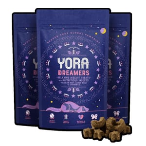 YORA YORA 狗夢想家小食 昆蟲單一蛋白 40g 40g 正面圖