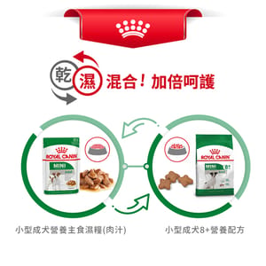 Royal Canin Royal Canin 狗糧 法國皇家狗糧 健康營養系列 小型成犬8+營養配方 小型老犬糧 8+ SPR27 8kg 8kg  包裝圖