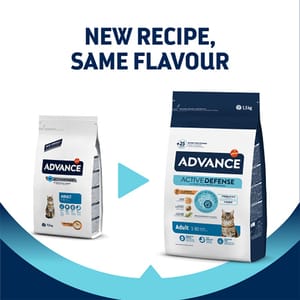ADVANCE ADVANCE 成貓糧 日常護理  10Kg   正面圖