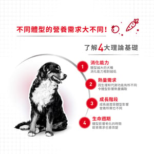 Royal Canin Royal Canin 狗糧 法國皇家狗糧 中型成犬營養配方 M25 15kg 15kg  背面圖