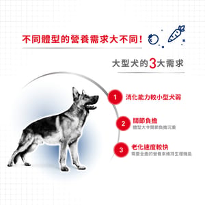 Royal Canin Royal Canin 狗糧 法國皇家狗糧 大型成犬營養配方 GR26 15kg 15kg 背面圖