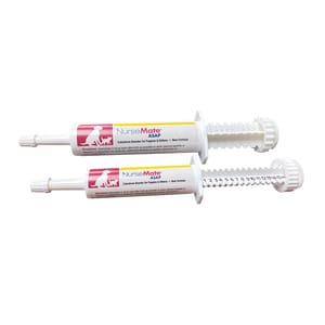 NurseMate NurseMate 奶滋味 牛初乳營養膏 30ml 30ml 貓犬用 正面圖