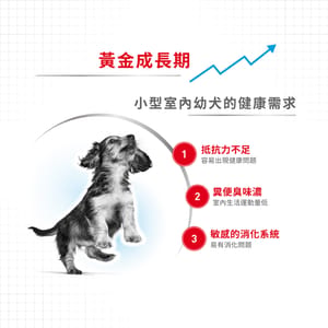 Royal Canin Royal Canin 狗糧 法國皇家狗糧 室內小型幼犬營養配方 ILJ 3kg 3kg 背面圖