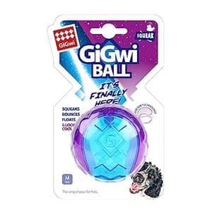 GiGwi GiGwi Ball系列 M   正面圖