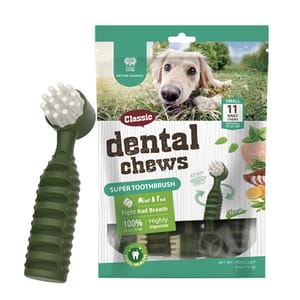 NATURA NATURA NOURISH Dental Chews 小型犬用 潔齒牙刷 薄荷味 170g 170g 犬用 正面圖