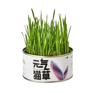 PETKIT PETKIT 元氣貓草罐 正面圖