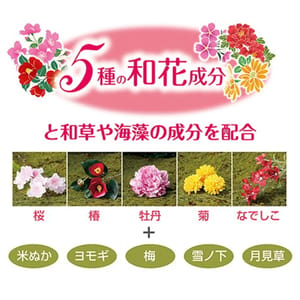 Petio Petio 日本製 和彩美花 氨基酸護理 花香低刺激洗毛液  480ml 480ml 犬用 背面圖