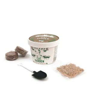 King King Catnip 貓玩具 Cat Garden ⾃種貓草 12g 12g  正面圖