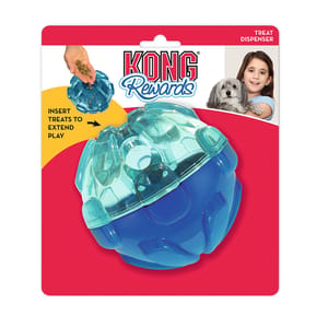 KONG KONG Rewards Ball 13cm 正面圖