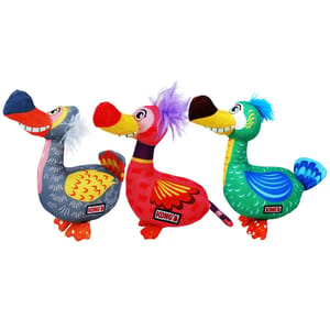 KONG KONG Ballistic Vibez Birds M/L   正面圖