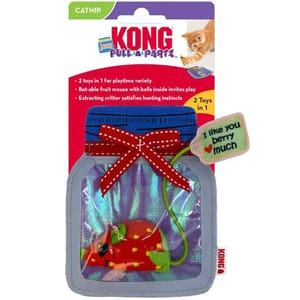KONG KONG Pull-a-Partz Jamz Assorted 正面圖