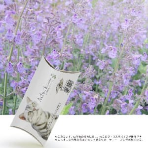 Aduck Aduck 放鬆減壓興奮天然貓薄荷 正面圖