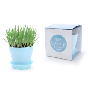Aduck Aduck 玩具嚴選 Catnip DIY 種植天然吐毛球小麥草套裝   正面圖
