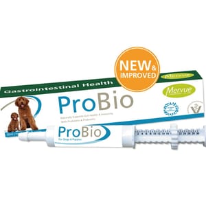 Mervue Mervue Pro Bio 犬用 胃腸爽益生菌康復凝膏 30ml 30ml 犬用 正面圖