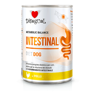 Disugual Disugual 意極鮮 處方糧 狗罐頭 腸胃配方 雞肉 400g | 意大利製造 400g 正面圖