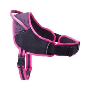 Rogz Rogz Airtech 運動胸帶 M 粉紅   正面圖