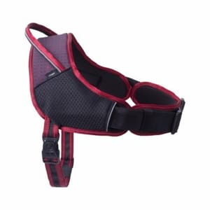 Rogz Rogz Airtech 運動胸帶 XL 紅 正面圖