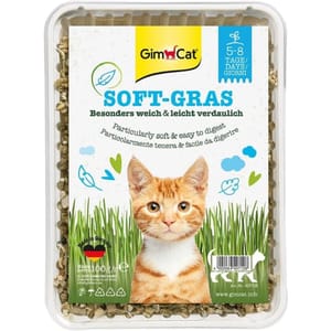 Gim Gim Cat  特級幼嫩多汁種植貓草 100g 100g  正面圖