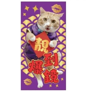 WELLNESS WELLNESS Core 紅包   正面圖