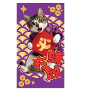 WELLNESS WELLNESS Core 紅包 正面圖