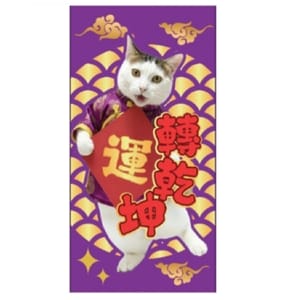 WELLNESS WELLNESS Core 紅包 正面圖