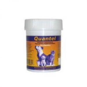 Chanelle康圖 Chanelle康圖 寵物用廣效除蟲片 CP04 30片 貓犬用 正面圖