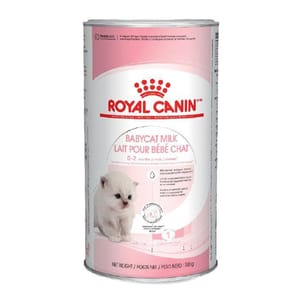 Royal Canin Royal Canin 法國皇家 FHN 初生貓營養奶粉 300g BCM 300 300g 正面圖