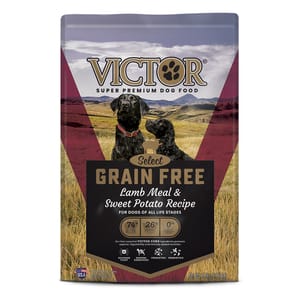 Victor Victor 成犬糧 無穀物羊肉配方 5lb 5lb  正面圖