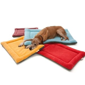 Downtown Downtown Pet Supply 寵物軟墊 平底  貓犬用 正面圖