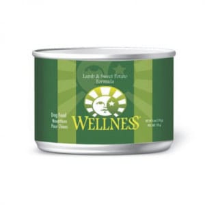 WELLNESS WELLNESS 狗罐頭 羊肉甜薯 C.H Lamb & Sweet Potato 6oz 6oz  正面圖